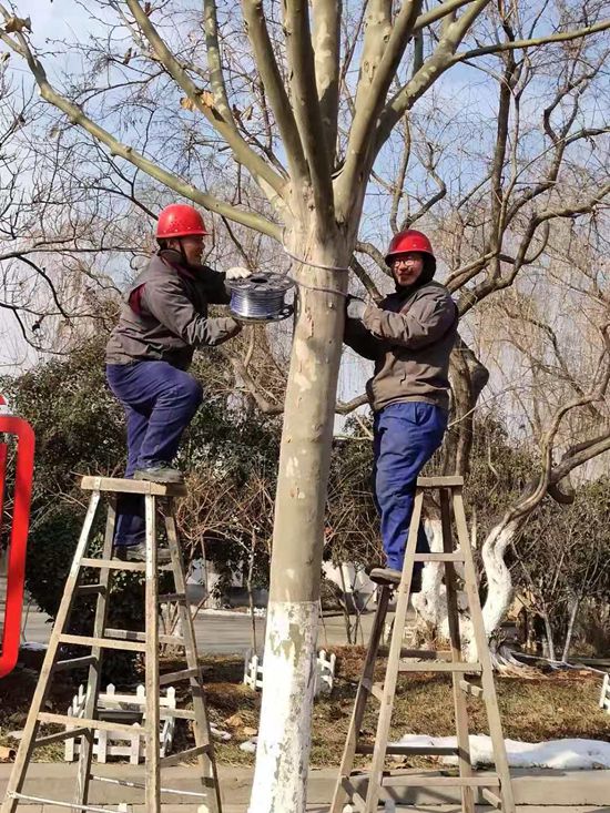美麗重山的踐行者——記魯中水泥動力車間46