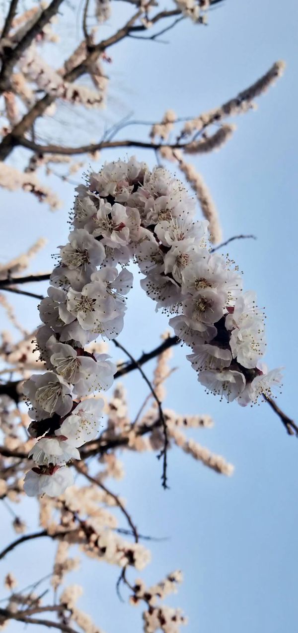 重山春已到 奮斗正當(dāng)時(shí)21