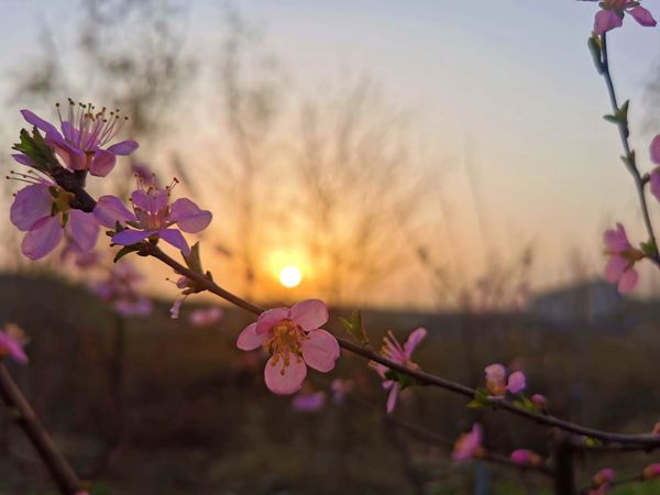 重山春已到 奮斗正當(dāng)時(shí)21