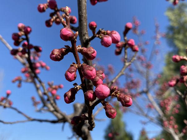 重山春已到 奮斗正當(dāng)時(shí)21