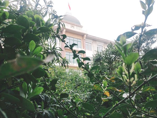 重山春已到 奮斗正當(dāng)時(shí)21