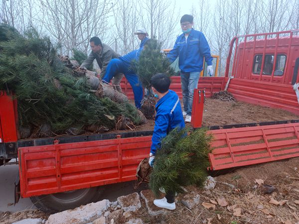 植樹綠化進行時70