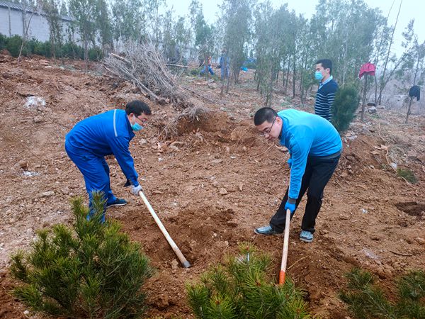 植樹綠化進行時70
