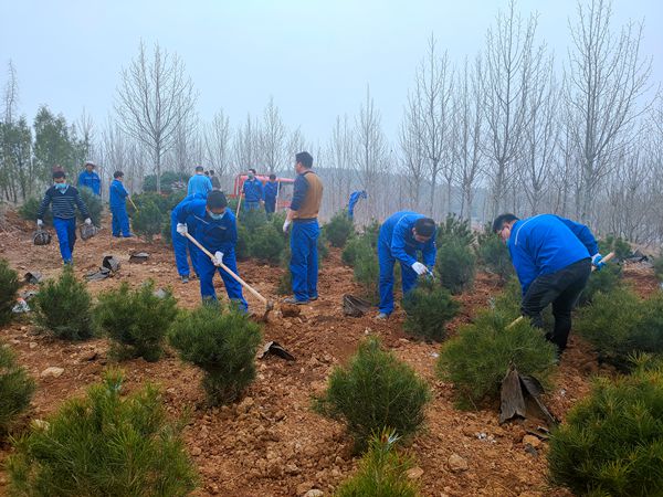 植樹綠化進行時70