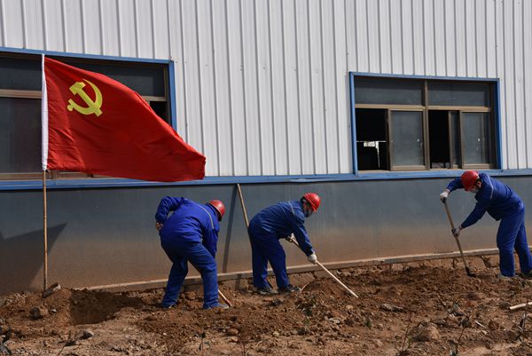 黨旗紅 春意濃 ——重山光電黨支部開展植樹綠化主題黨日活動68