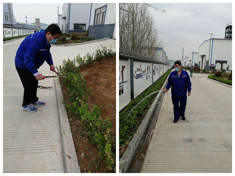 黨旗紅 春意濃 ——重山光電黨支部開展植樹綠化主題黨日活動68
