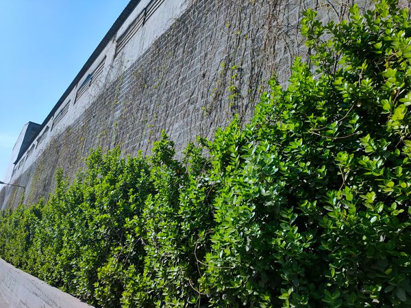 【重山影像】重山春已到 奮斗正當(dāng)時(shí)（二）20