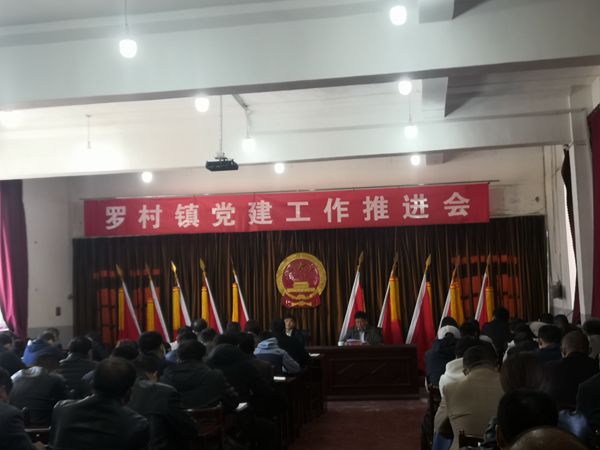 集團參加羅村鎮(zhèn)黨建工作推進會71