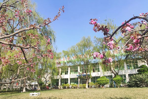 【重山影像】重山春已到 奮斗正當(dāng)時(shí)（四）28