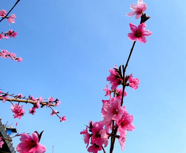 【重山影像】重山春已到 奮斗正當(dāng)時(shí)（四）28