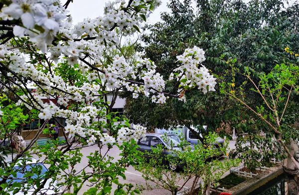 【重山影像】重山春已到 奮斗正當(dāng)時(shí)（四）28