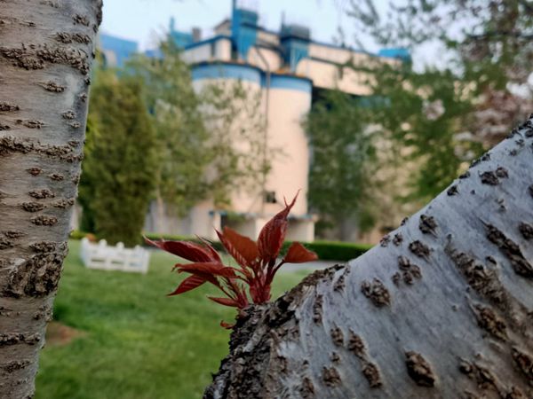 【重山影像】重山春已到 奮斗正當(dāng)時(shí)（四）28