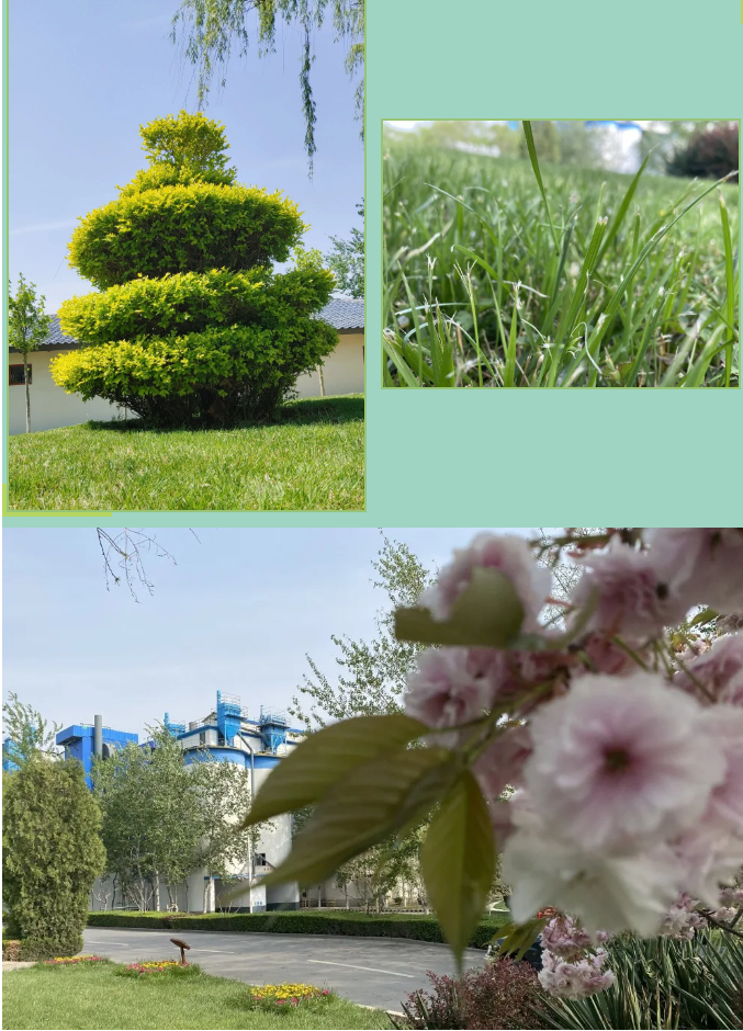 【重山影像】重山春已到 奮斗正當(dāng)時(shí)（六）25