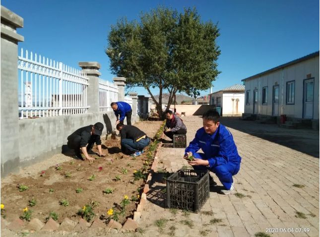 鵬峰化工開(kāi)展綠化活動(dòng)85