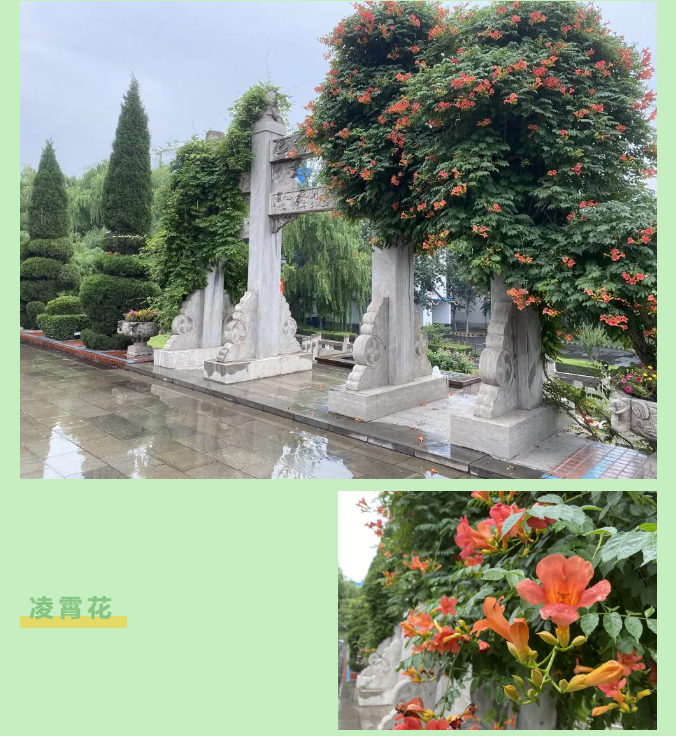 【重山影像】一起來(lái)看雨中的重山64