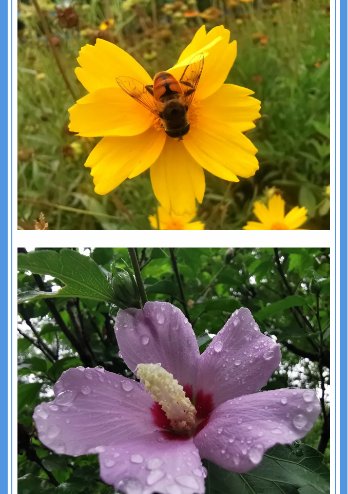 【重山影像】愿你以夢(mèng)為馬 不負(fù)韶華94