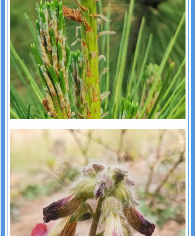 【重山影像】愿你以夢(mèng)為馬 不負(fù)韶華94