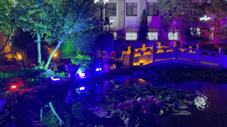 夜空中最亮的星——黑夜里的堅守者9