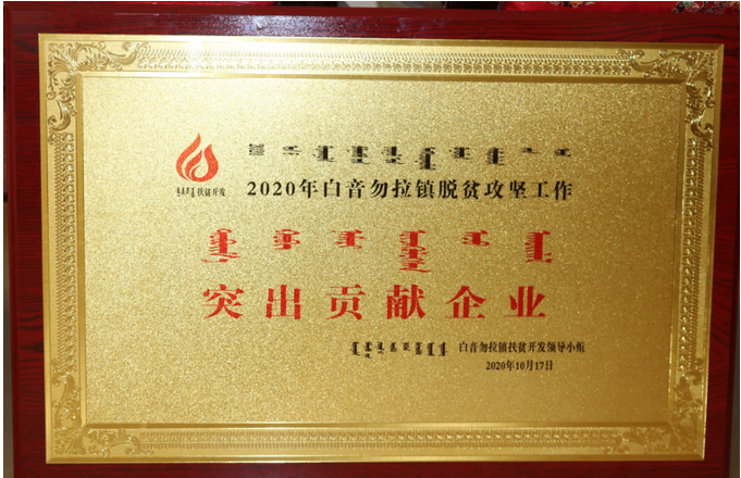 魯蒙公司榮獲“脫貧攻堅(jiān)突出貢獻(xiàn)企業(yè)”稱號(hào)95