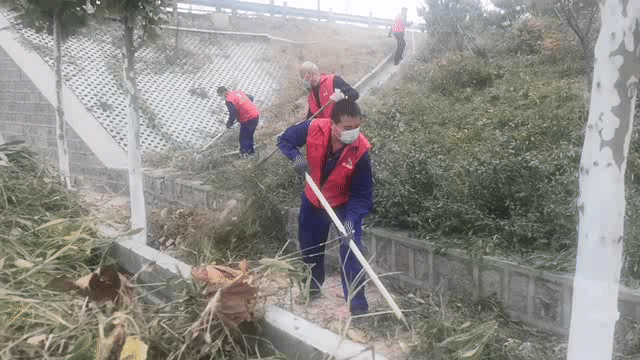 擇善明德 志愿紅“美顏”綠化區(qū) —集團黨委組織黨員志愿服務活動68