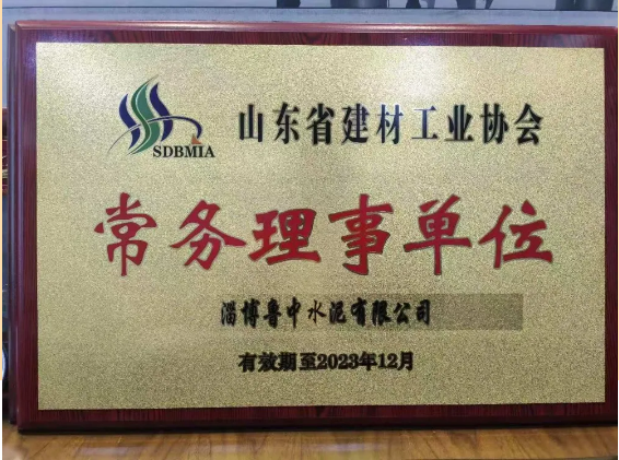 魯中水泥當(dāng)選山東省建材工業(yè)協(xié)會常務(wù)理事單位67