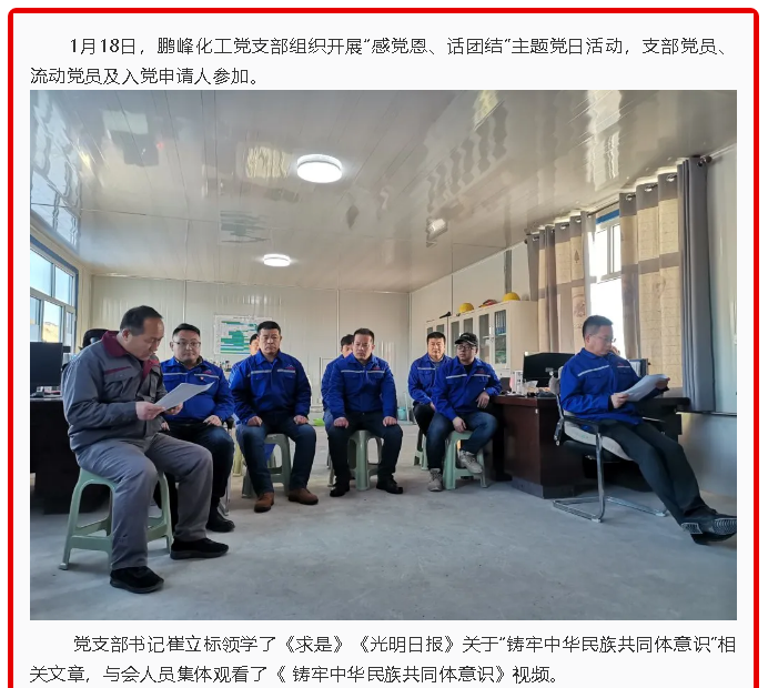 鵬峰化工黨支部開展主題黨日活動(dòng)60