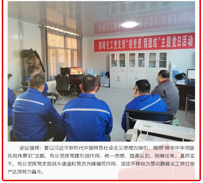鵬峰化工黨支部開展主題黨日活動(dòng)60