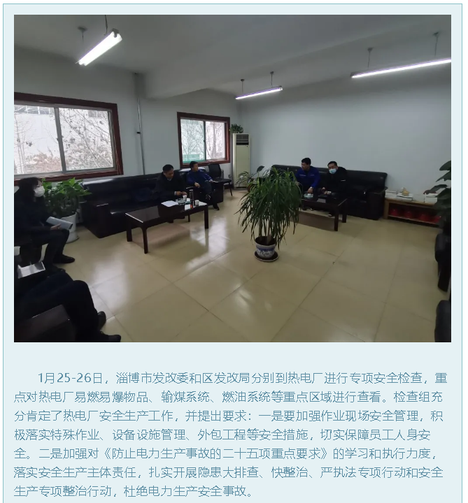 市、區(qū)發(fā)改局到熱電廠安全檢查22