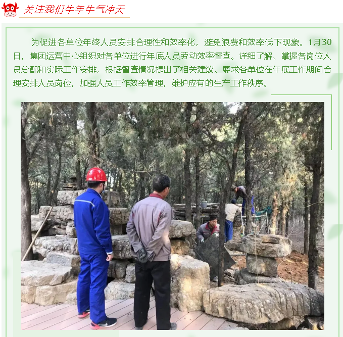 集團(tuán)運(yùn)營(yíng)中心組織勞動(dòng)效率督查27