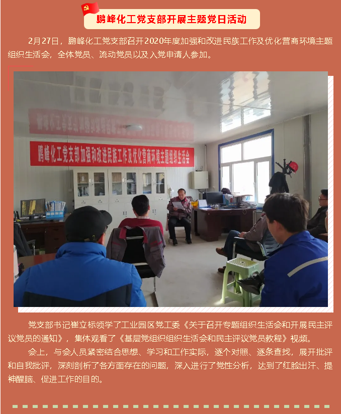鵬峰化工黨支部開(kāi)展主題黨日活動(dòng)89