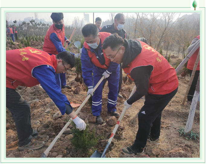 【植樹節(jié)】植一片綠色 播種一片希望——集團(tuán)黨委組織植樹綠化活動(dòng)27