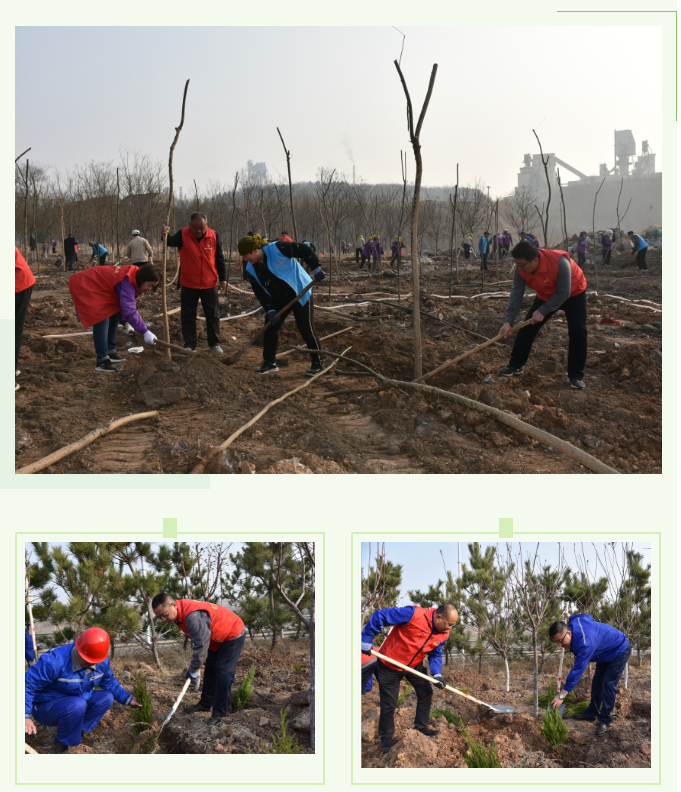 【植樹節(jié)】植一片綠色 播種一片希望——集團(tuán)黨委組織植樹綠化活動(dòng)27