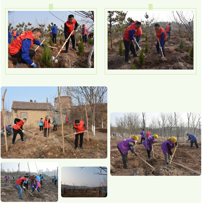 【植樹節(jié)】植一片綠色 播種一片希望——集團(tuán)黨委組織植樹綠化活動(dòng)27