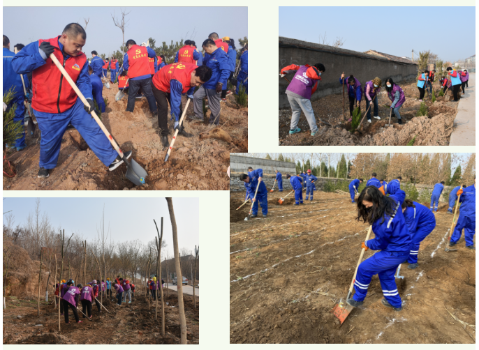 【植樹節(jié)】植一片綠色 播種一片希望——集團(tuán)黨委組織植樹綠化活動(dòng)27