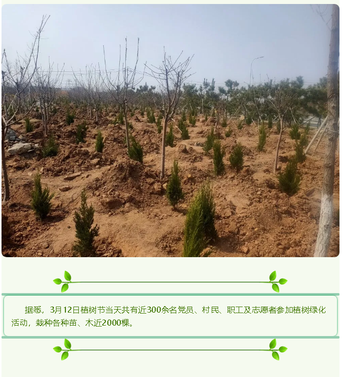 【植樹節(jié)】植一片綠色 播種一片希望——集團(tuán)黨委組織植樹綠化活動(dòng)27