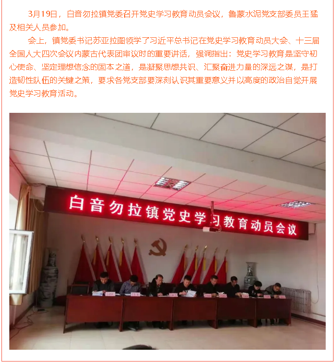 鵬峰化工黨支部、魯蒙水泥黨支部參加黨史學習教育動員會議36