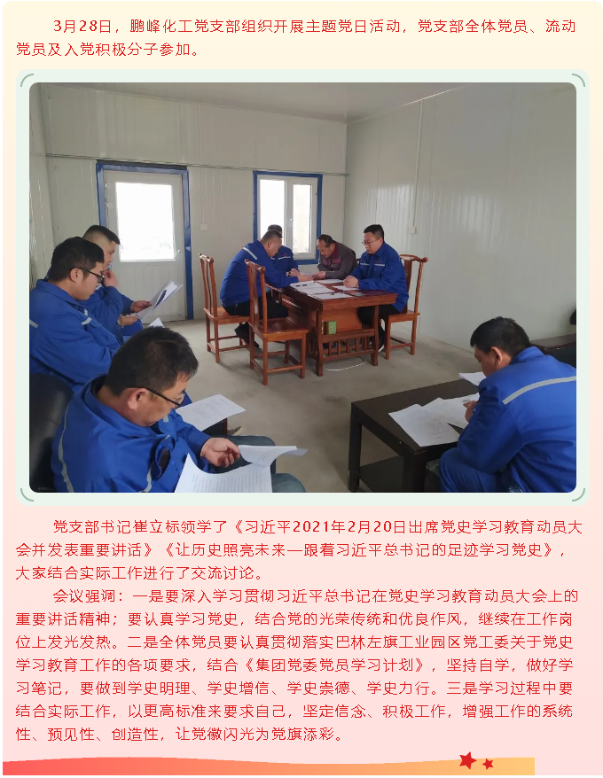 學(xué)黨史 讓黨徽閃光 為黨旗添彩—鵬峰化工黨支部組織3月份主題黨日活動(dòng)90