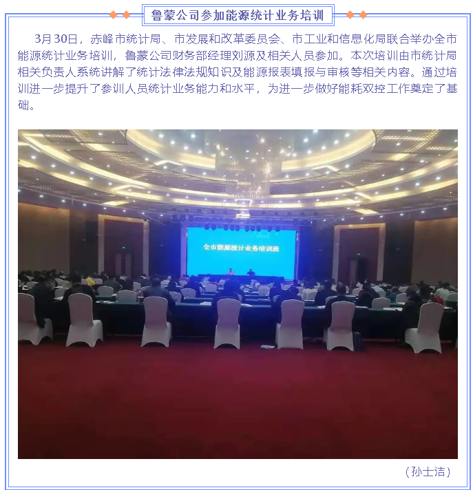 魯蒙公司參加能源統(tǒng)計(jì)業(yè)務(wù)培訓(xùn)63