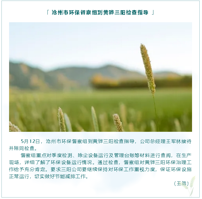 滄州市環(huán)保督察組到黃驊三陽(yáng)檢查指導(dǎo)90