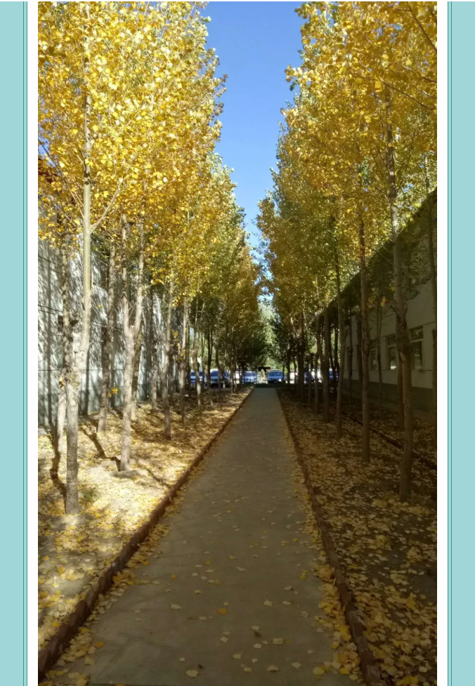 【鏡頭里的重山】邀您共賞重山之美！7