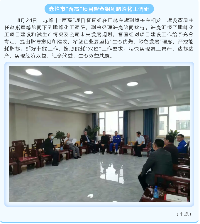 赤峰市“兩高”項(xiàng)目督查組到鵬峰化工調(diào)研85