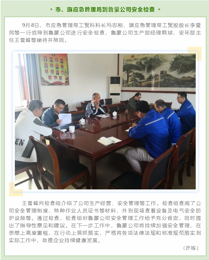市、旗應(yīng)急管理局到魯蒙公司安全檢查40