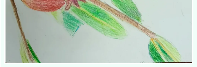 【魅力重山·幸福南韓】書(shū)畫(huà)攝影作品（六）37