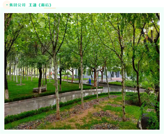 【魅力重山·幸福南韓】書(shū)畫(huà)攝影作品（六）37