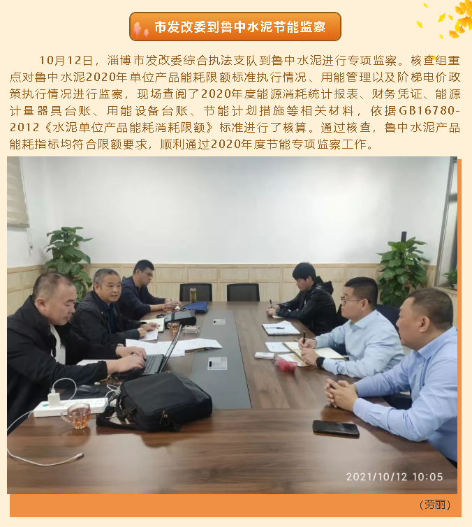 市發(fā)改委到魯中水泥節(jié)能監(jiān)察40