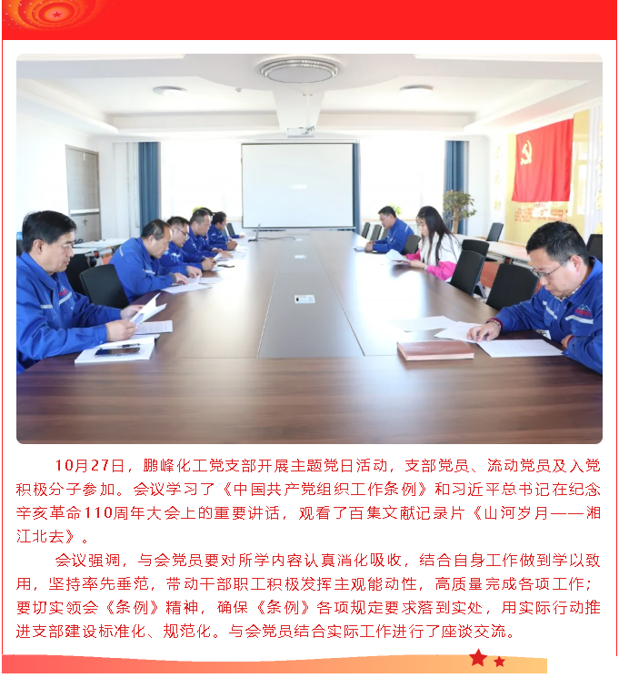 鵬峰化工黨支部開展主題黨日活動32