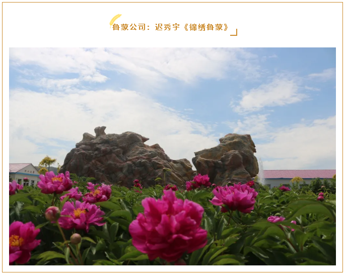 【魅力重山·幸福南韓】書畫攝影作品（八）89